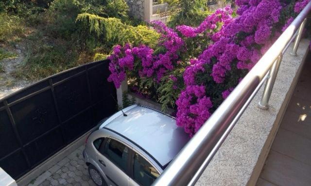 Villa Lyudmila Utjeha Dış mekan fotoğraf