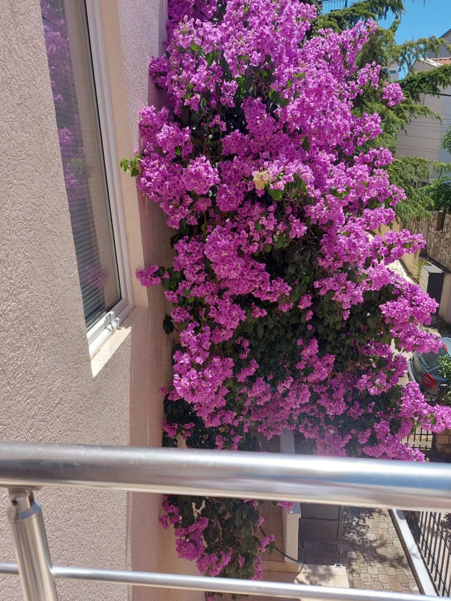 Villa Lyudmila Utjeha Dış mekan fotoğraf